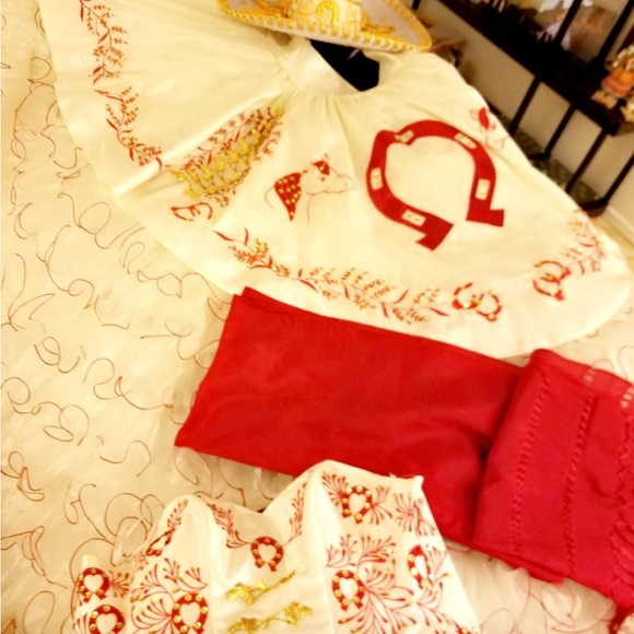 Quinceañera Dress Custom Made in Mexico - Picture 3 of 12